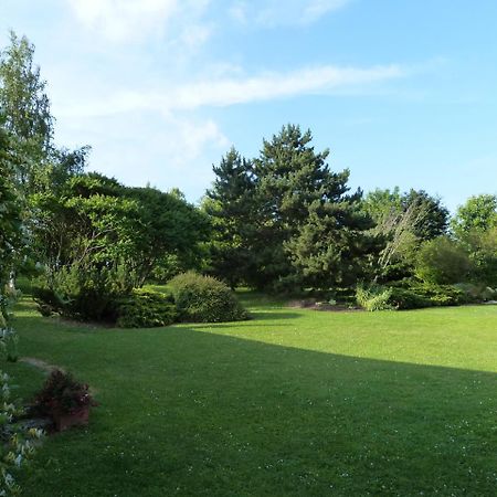 Bed and Breakfast Les Reves De Flamboin Gouaix Exterior foto